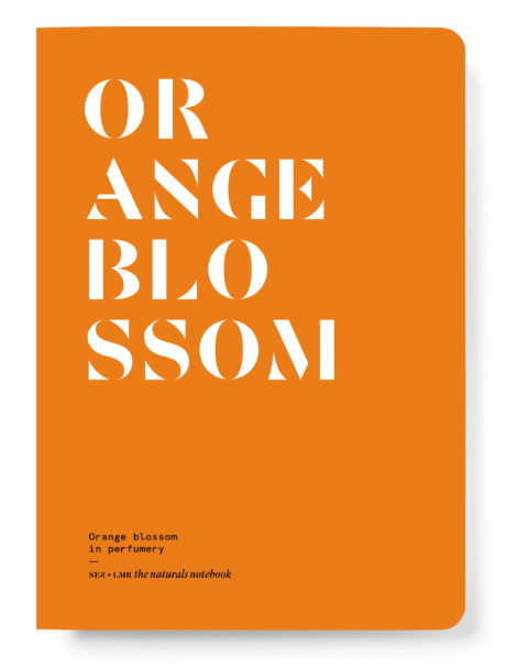 LMR_COUV-PLAT-orange-blossom copie-min